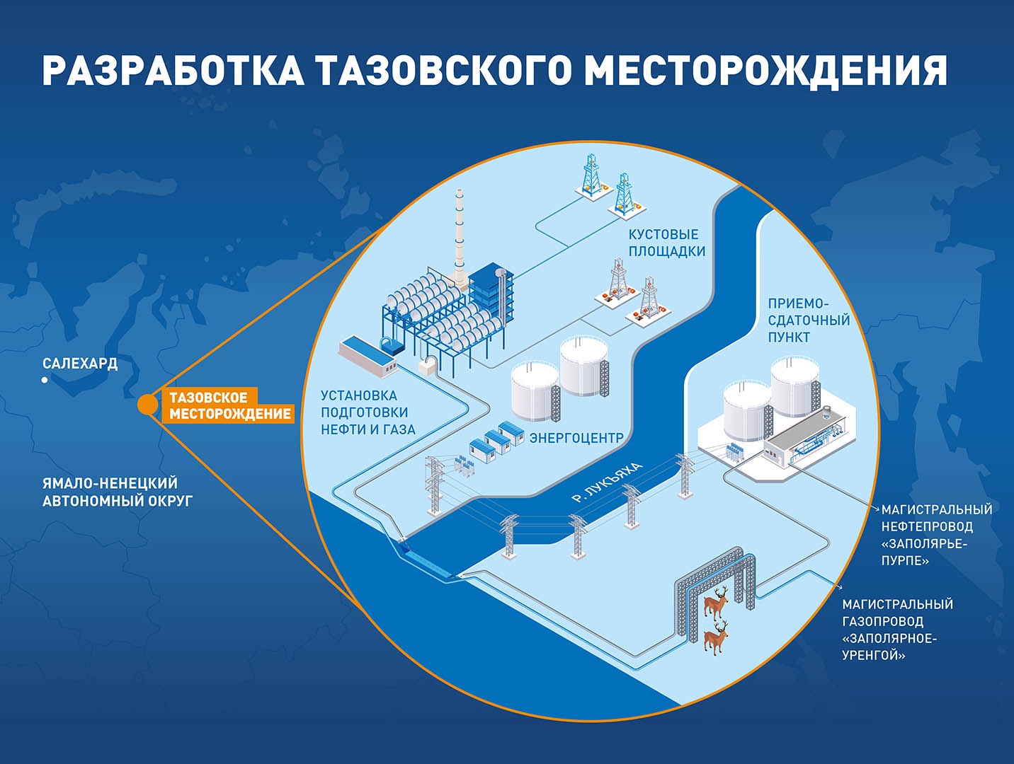 ЛУКОЙЛ отдаст свыше 60 млрд рублей за участие в ямальском СП с Газпром  нефтью | АЦ-Эксперт